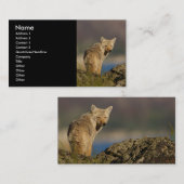 profil ou carte de visite, coyote (Devant / Derrière)