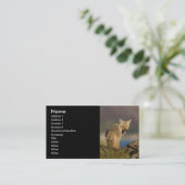 profil ou carte de visite, coyote (Debout devant)