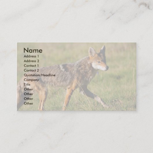 profil ou carte de visite, coyote (Devant)