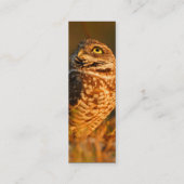 profil ou carte de visite, creusant le hibou (Dos)