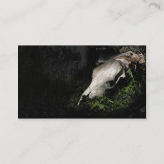 Profil ou carte de visite de crâne de vache