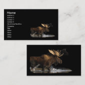 profil ou carte de visite, éclaboussure d'orignaux (Devant / Derrière)