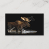 profil ou carte de visite, éclaboussure d'orignaux (Dos)