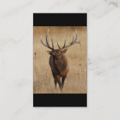 profil ou carte de visite, élan (Dos)