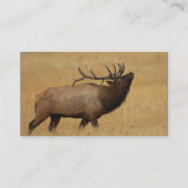 profil ou carte de visite, élan (Dos)