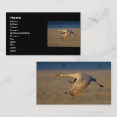 profil ou carte de visite, grue (Devant / Derrière)