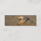 profil ou carte de visite, grue (Dos)