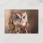 profil ou carte de visite, hibou (Dos)