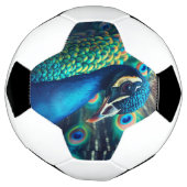 Profil Peacock (Tourné)