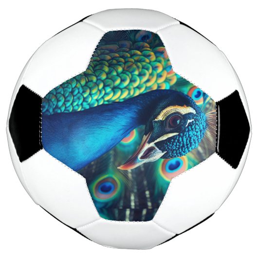 Profil Peacock (Tourné)