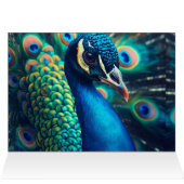 Profil Peacock vide à l'intérieur (Intérieur Horizontal (Haut))