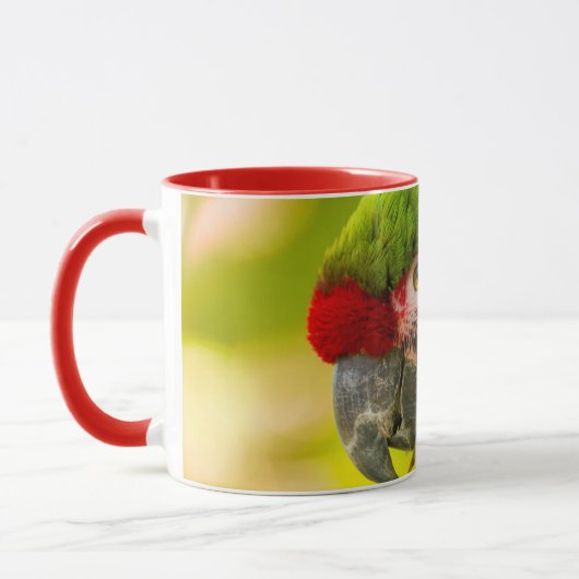 Profile of macaw at Santa Barbara Zoo Mok (Links)