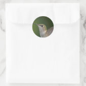 Profile Ronde Sticker (Tas)