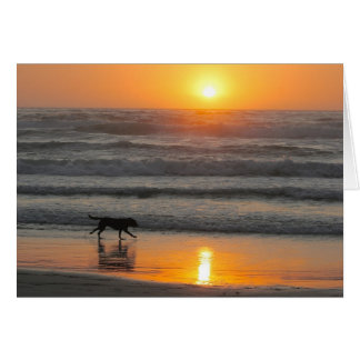 Profiteer optimaal van uw dag