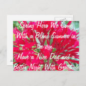 Profitez d'un été agréable sur la carte Sun Post (Devant / Derrière)