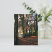Profondément Dans Le Coeur Carte Postale (Debout devant)