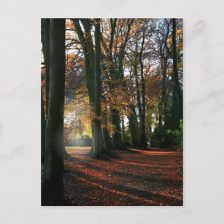 Profondément Dans Le Coeur Carte Postale