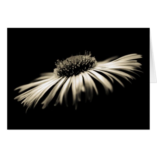 Profondeur de pureté (Devant horizontal)