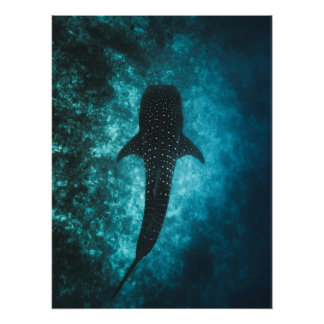 Profondeurs de requin baleine – Art mural océaniqu