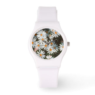 Profusie Of White Daises (Asteraceae) Horloge
