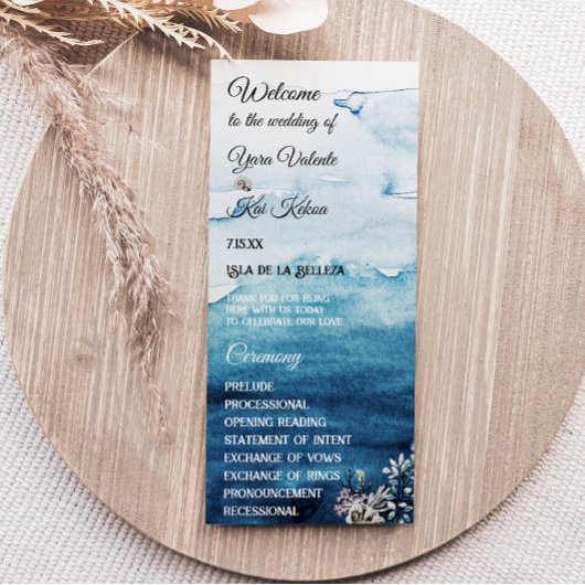 Programma voor de Statische Oceaan