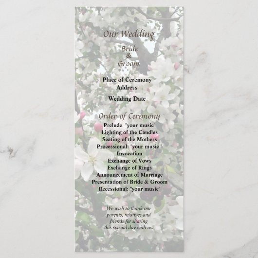 Programme Apple Tree In Bloom Wedding Program (Devant)
