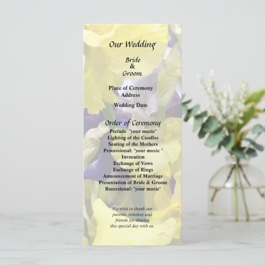 Programme Assortiment d'iris jaunes et violets (Debout devant)