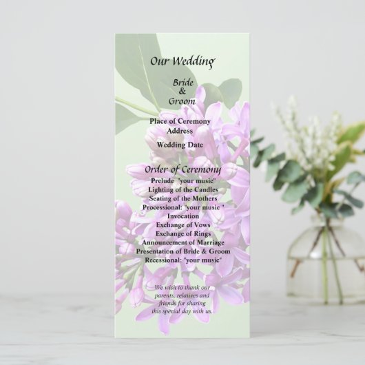 Programme Beaux Lilas (Debout devant)