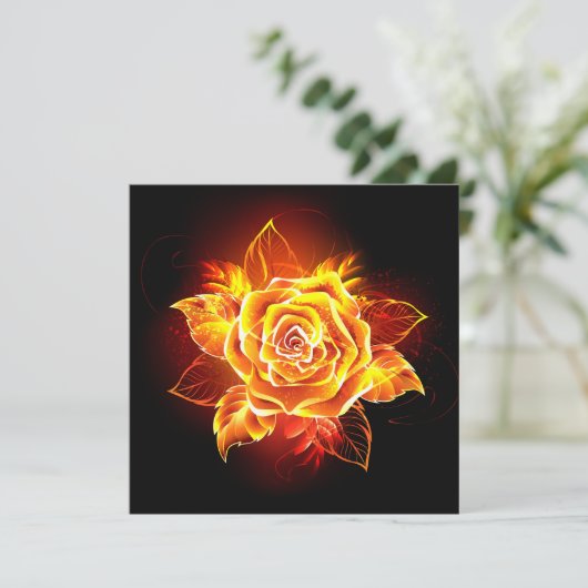 Programme Blooming Fire Rose (Debout devant)