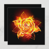 Programme Blooming Fire Rose (Devant / Derrière)