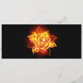 Programme Blooming Fire Rose (Devant)