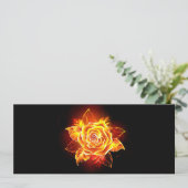 Programme Blooming Fire Rose (Debout devant)