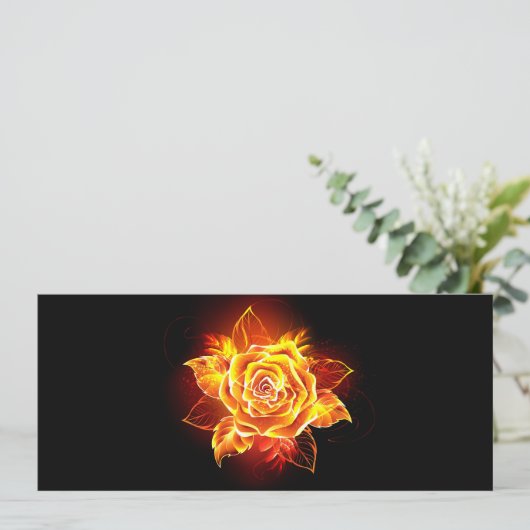 Programme Blooming Fire Rose (Debout devant)