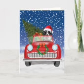 Programme Bordure Collie Chien Conduite Voiture En Neige Noë (Devant)