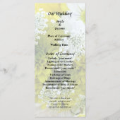 Programme Bouquet de pâquerettes, chrysanthèmes et ammi (Devant)