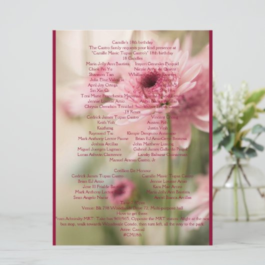 PROGRAMME CAMILLE 18E (Debout devant)