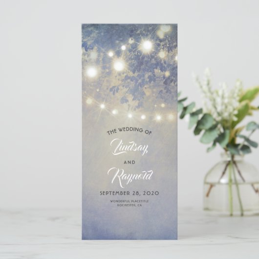 Programme Chaîne de lumières Rustique Dusty Blue Wedding Pro (Debout devant)