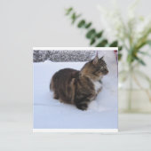 Programme chat de la forêt norvégienne dans la neige (Debout devant)