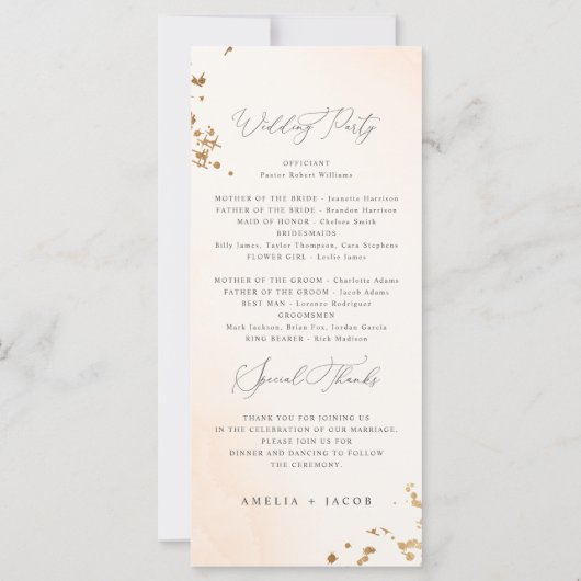 Programme Chic Blush Pink Watercolor Wedding (Dos)