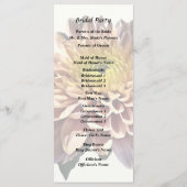 Programme Chrysanthèmes rose clair (Dos)