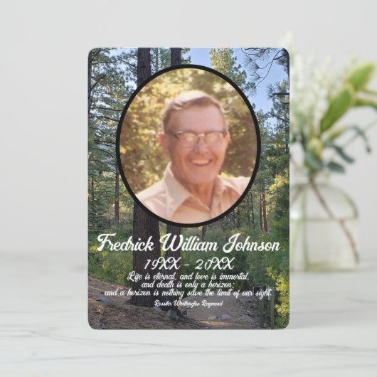 Programme Citation Photo Pine Tree Forest Arrière - plan Mem (Debout devant)