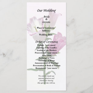 Programme Cloches de Canterbury roses