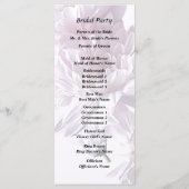 Programme Coeur rose Chrysanthème (Dos)