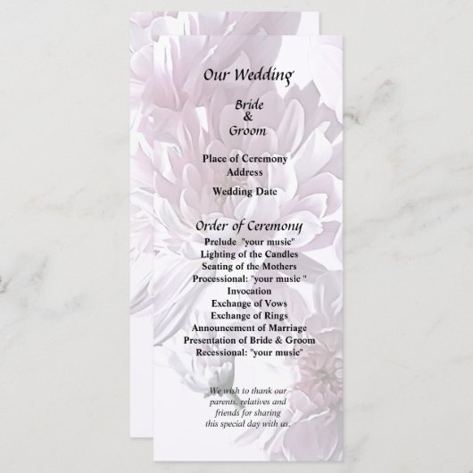 Programme Coeur rose Chrysanthème (Devant / Derrière)