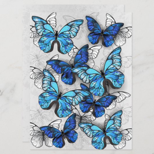 Programme Composition des White and Blue Butterflies (Devant / Derrière)
