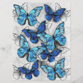 Programme Composition des White and Blue Butterflies (Devant)