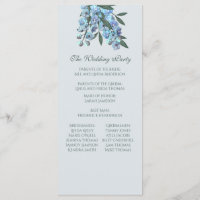 Programme de Delphinium Floral Bleu