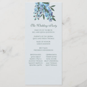 Programme de Delphinium Floral Bleu