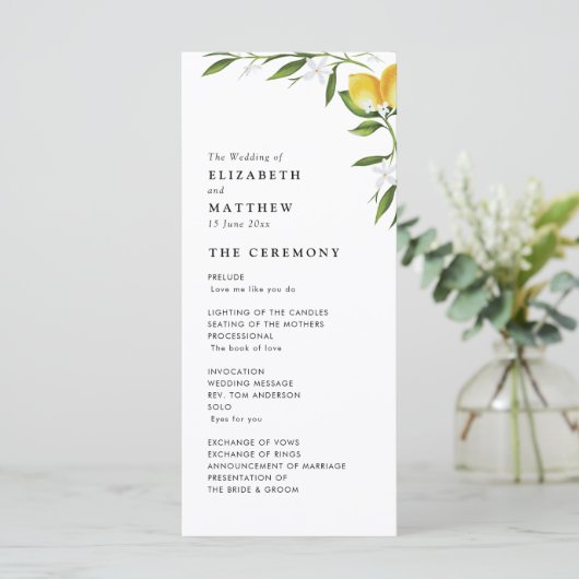 Programme de mariage à feuillage de citron aquarel (Debout devant)