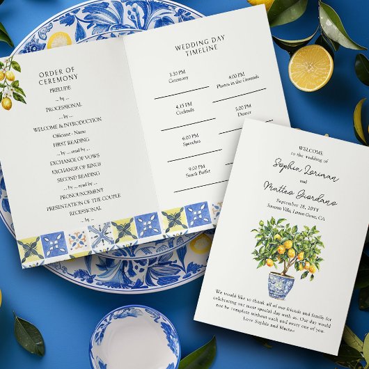 Programme de mariage à la campagne italienne de Le